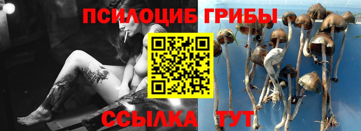 Галлюциногенные грибы ЛСД  Вход с VPN  Псилоцибиновые грибы мицелий  Учалы 